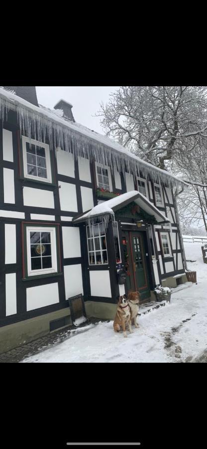 Berghof Schmitte ξενώνας Βίντερμπεργκ Εξωτερικό φωτογραφία