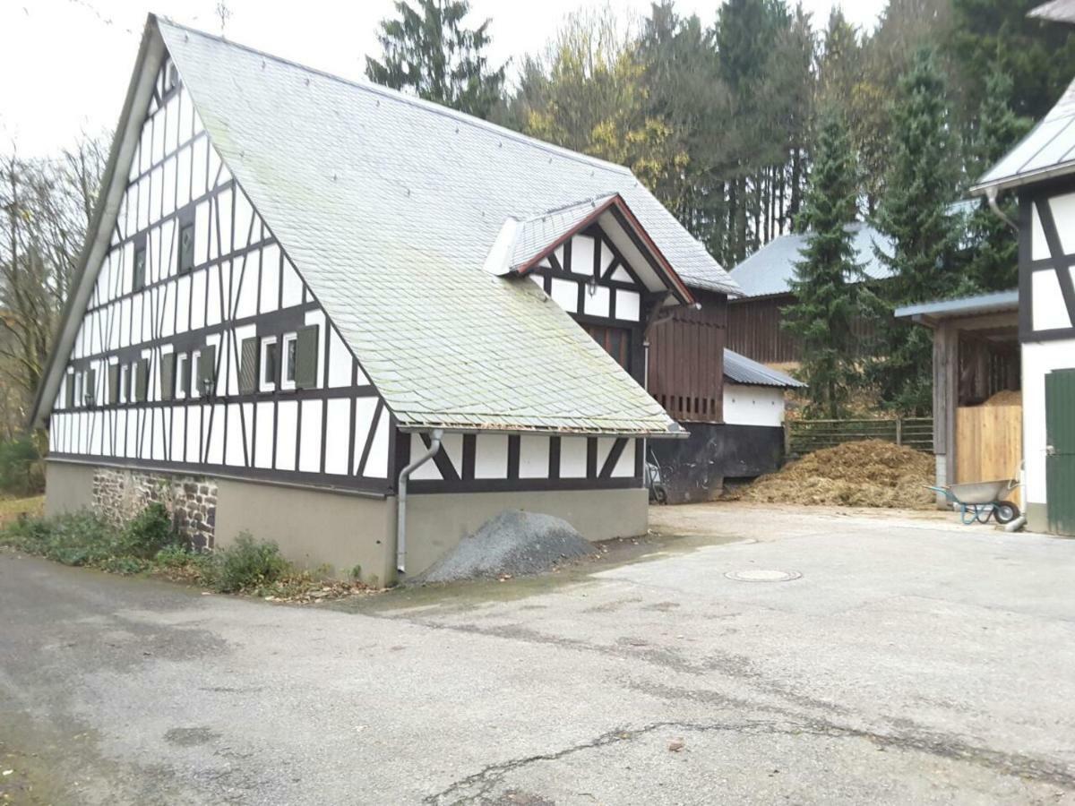 Berghof Schmitte ξενώνας Βίντερμπεργκ Εξωτερικό φωτογραφία